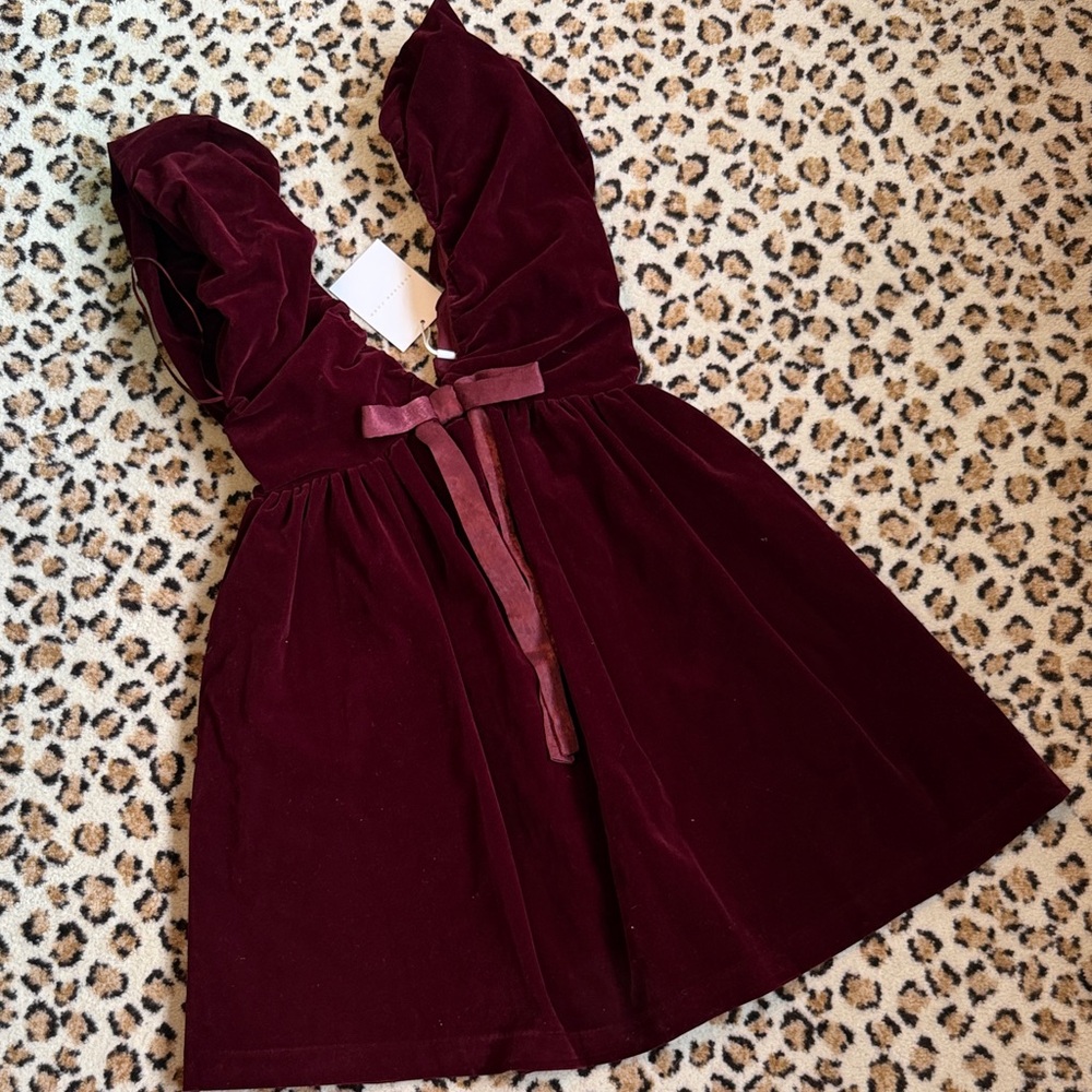 Endless Rose Burgundy Velvet A-Line Mini Dress